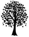 Black  abstract tree silhouette isolated on white background. Royalty Free Stock Photo